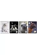 zeszyt a5/80k kratka the sweet pets (5szt) - Zeszyty szkolne - miniaturka - grafika 1