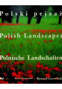 Polski Pejzaż Polish Landscapes - Felietony i reportaże - miniaturka - grafika 1