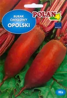 Nasiona i cebule - Burak Ćwikłowy Opolski Nasiona 10g Polan - miniaturka - grafika 1