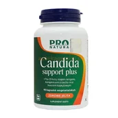 Układ pokarmowy - Now Foods NOW Candida Support 90 kaps. grzybica przewodu pokarmowego, biegunki, zaparcia, Candida albicans, drożdżaki N1026 - miniaturka - grafika 1