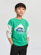 Swetry dla chłopców - Sinsay - Bluza - zielony - miniaturka - grafika 1