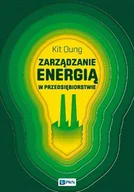 Zarządzanie - Wydawnictwo Naukowe PWN Zarządzanie energią w przedsiębiorstwie - Oung Kit - miniaturka - grafika 1