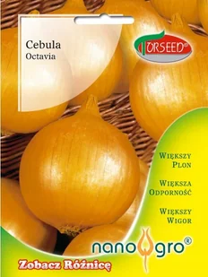 Nasiona Cebula Octavia NANO- Torseed - Nasiona i cebule - miniaturka - grafika 1