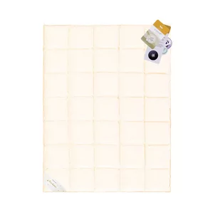 AMZ Szamotuły Kołdra Puchowa 220x200 Basic Plus Zimowa Puch 70% D617-2017C - Kołdry - miniaturka - grafika 1