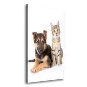 Obrazy i zdjęcia na płótnie - Foto obraz na płótnie do salonu pionowy Pies i kot - miniaturka - grafika 1