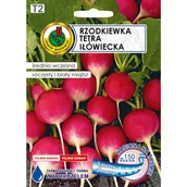 Nasiona i cebule - Rzodkiewka Tetra nasiona tradycyjne Pnos - miniaturka - grafika 1