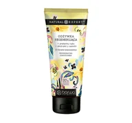 Odżywki do włosów - Barwa Natural Expert regenerująca odżywka do włosów zniszczonych 200ml - miniaturka - grafika 1