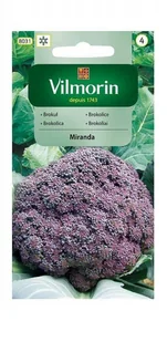 Brokuł Miranda 1 g Vilmorin - Nasiona i cebule - miniaturka - grafika 1