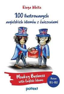 100 ilustrowanych angielskich idiomów z ćwiczeniami - Książki obcojęzyczne do nauki języków - miniaturka - grafika 1