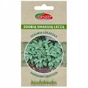 Nasiona i cebule - nasiona Szałwia lekarska, Ogrodowy dentysta 1g - Torseed - miniaturka - grafika 1