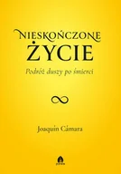 E-booki - nauka - Nieskończone życie Podróż duszy po śmierci - miniaturka - grafika 1