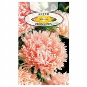 Nasiona i cebule - ASTER CHIŃSKI PEONIOWY łososiowy NASIONA - miniaturka - grafika 1