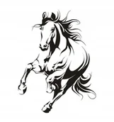 Naklejki na ścianę - Naklejka na ścianę, przyczepę Koń 25, 160x120 cm - miniaturka - grafika 1