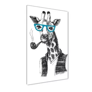 Foto obraz na szkle Żyrafy w okularach - Obrazy i zdjęcia na płótnie - miniaturka - grafika 1