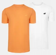 Koszulki męskie - T-SHIRT MĘSKI 4F KOSZULKA BAWEŁNIANA SPORTOWA BASIC ZESTAW 2SZT KOMPLET - miniaturka - grafika 1
