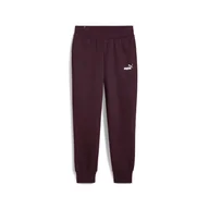 Spodnie damskie - Damskie Spodnie PUMA ESS SWEATPANTS FL CL (S) 58684146 – Fioletowy - miniaturka - grafika 1