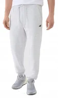 Dresy męskie - M��skie spodnie dresowe 4F TROM1139 27M XL - miniaturka - grafika 1