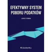 Ekonomia - Efektywny system poboru podatków - miniaturka - grafika 1