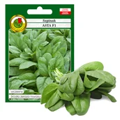 Nasiona i cebule - SZPINAK ASTA WCZESNY SZYBKO ROŚNIE  NASIONA BEZ GMO - miniaturka - grafika 1