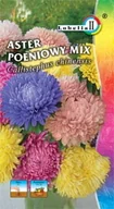 Nasiona i cebule - Aster peoniowy mix 1g / L / - miniaturka - grafika 1