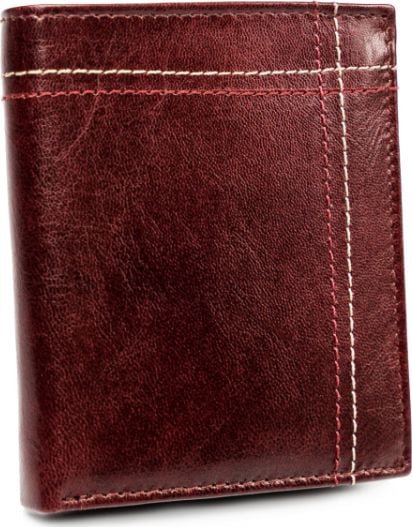 Always Wild Portfel dla mężczyzn Always Wild skórzany skóra