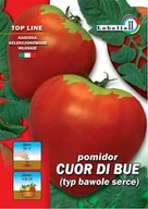 Nasiona i cebule - Pomidor Curo di Bue 0,3g / L / - miniaturka - grafika 1