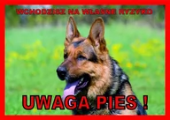 Pozostałe akcesoria dla psów - Rokus Rokus Tabliczka "Uwaga pies" owczarek niemiecki - miniaturka - grafika 1
