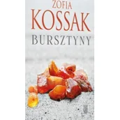 Historia świata - PAX Bursztyny Zofia Kossak - miniaturka - grafika 1