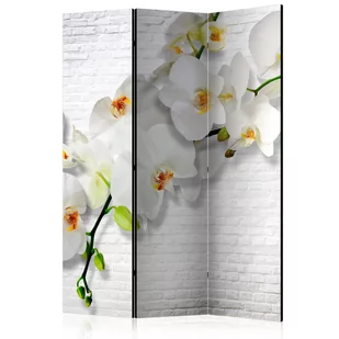 Parawan 3-częściowy - Miejska orchidea [Room Dividers] (rozmiar 135x172) - Parawany - miniaturka - grafika 1