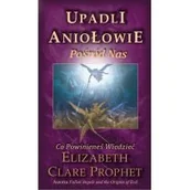 Religia i religioznawstwo - Upadli aniołowie Pośród nas Używana - miniaturka - grafika 1