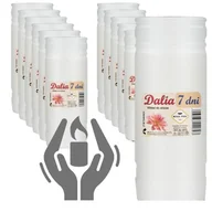 Lampiony i znicze - Wkład do znicza DALIA 7 - 12 sztuk całe opakowanie Max Pol - miniaturka - grafika 1