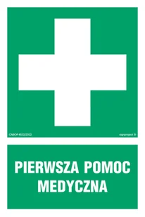 AF003 PIERWSZA POMOC MEDYCZNA, PS - PŁYTA PCV 1MM FOTOLUMINESCENCYJNA; (500X750MM) - Systemy ekspozycyjne i znaki informacyjne - miniaturka - grafika 1