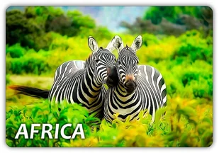 Afryka - Zebry - Animals - Magnes Na Lodówkę - Magnesy - miniaturka - grafika 1