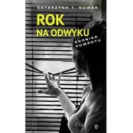Biografie i autobiografie - Katarzyna T. Nowak Rok na odwyku Kronika powrotu - miniaturka - grafika 1