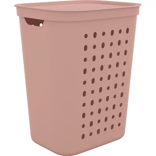 Plastikowy kosz na pranie 55 l Jona – Rotho - Kosze na bieliznę - miniaturka - grafika 1