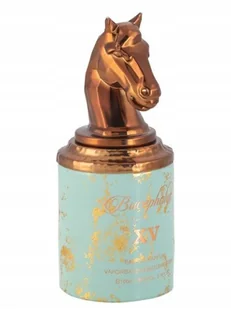 Armaf Bucephalus XV Edp 100ml - Wody i perfumy męskie - miniaturka - grafika 1