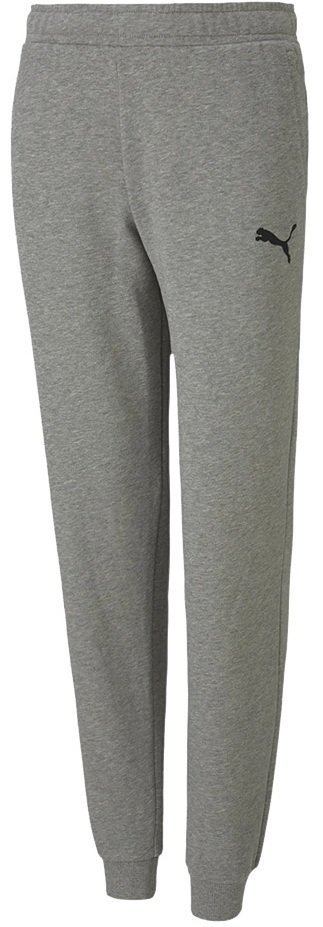 Spodnie dla dzieci Puma teamGOAL 23 Casuals Pants Jr szare 656713 33-128