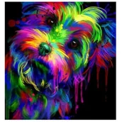 Malowanie po numerach - Norimpex, Diamentowa mozaika Kolorowy piesek 1006294 - miniaturka - grafika 1