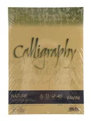 Papier do drukarek - Papier WIZYTÓWKOWY KALIGRAFICZNY formatu A4 50 kartek 120G - miniaturka - grafika 1