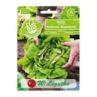 Nasiona i cebule - Legutko Sałata głowiasta masłowa MAY KING BIO - miniaturka - grafika 1