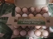 Kakao i czekolada - Jaja kurze z wolnego wybiegu rozmiar M - miniaturka - grafika 1