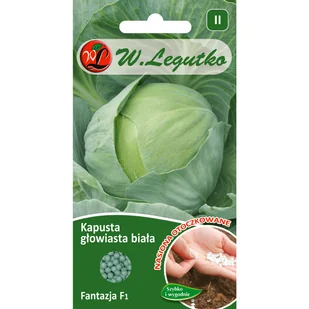 Kapusta głowiasta biała Fantazja F1 nasiona otoczkowane 100szt. W. Legutko - Nasiona i cebule - miniaturka - grafika 1
