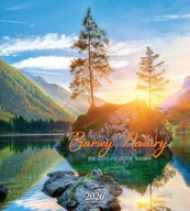 Kalendarze - Kalendarz 2026 ścienny 32x32cm Barwy... - kalendarz - miniaturka - grafika 1