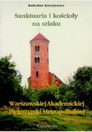 Felietony i reportaże - Sanktuaria i kościoły na szlaku - miniaturka - grafika 1