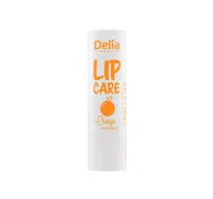 Balsamy do ust - DELIA LIP CARE OCHRONNA POMADKA DO UST ORANGE 4,9G - miniaturka - grafika 1