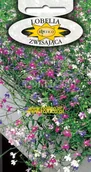 Nasiona i cebule - LOBELIA ZWISAJĄCA MIESZANKA 0,1g - miniaturka - grafika 1