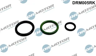 Zestaw naprawczy, pompowtryskiwacz (pde) Dr.motor Automotive DRM005RK - Układ zasilania - akcesoria - miniaturka - grafika 1