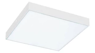Rabalux Lampa sufitowa zewnętrzna LED 18W TARTU 7895 7895 - Lampy ogrodowe - miniaturka - grafika 2