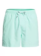 Kąpielówki męskie - Quiksilver Everyday Volley 15 Spodnie krótkie Mężczyźni, beach glass M 2020 Szorty kąpielowe EQYJV03531-GCZ0-Medium - miniaturka - grafika 1