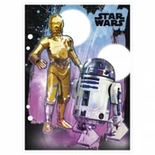 Wkłady do segregatora - Wkład do segr.A5 Star Wars p10. DERFORM (DERF.WA5SW) - miniaturka - grafika 1